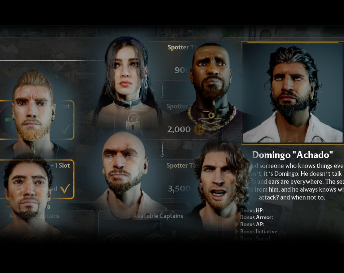 Pirate captain character